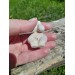  Neolithic Goddess Great Mother amulet.