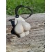  Neolithic Goddess Great Mother amulet.