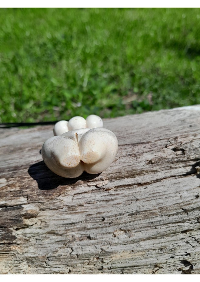 Three Breasted Woman amulet.