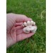 Unique handcrafted Three Breasted Woman amulet