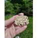 Hand-carved Boar amulet with Algiz rune.