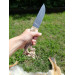 Premium Viking inspired "Wolf" knife.