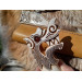 Premium Viking inspired "Wolf" knife.