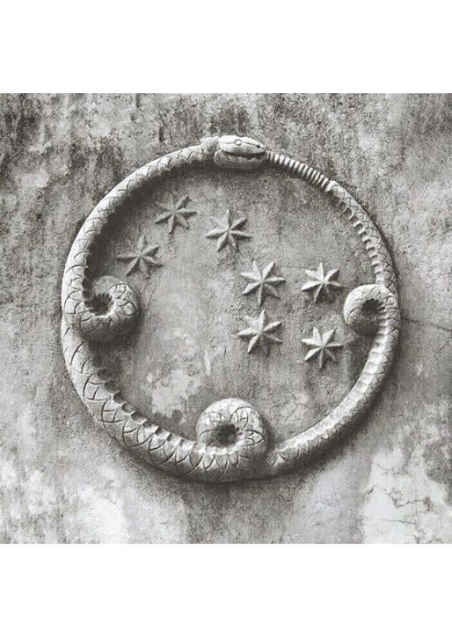 Unique hand-carved Viking Snake amulet. 