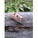 Viking bear warriors pendant. Berserker amulet. Hand-carved