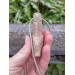 Viking bear warriors pendant. Berserker amulet. Hand-carved