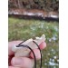 Celtic Boar pendant. Antler hand-carved amulet