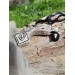 Moose antler Thor's Hammer amulet with Celtic Knot & Wolf