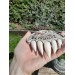 Hand-carved Viking amulet – Wolf, sun & moon symbol