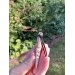 Norse Viking Dragon antler amulet, pendant