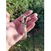 Norse Viking Dragon antler amulet, pendant