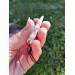 Hand-carved moose antler Dragon head with Algiz rune