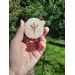 Algiz Rune Helm of Awe — moose antler pendant