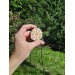 Algiz Rune Helm of Awe — moose antler pendant