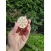 Hand-carved moose antler Viking talisman.  Helm of Awe amulet