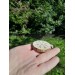 Hand-carved moose antler Viking talisman.  Helm of Awe amulet