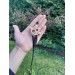 Hand-carved moose antler & buffalo horn Dragon pendant