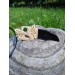 Viking Wolf amulet with green gemstone eye