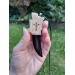 Moose antler & buffalo horn Dragon amulet for protection