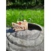 Moose antler & buffalo horn Dragon amulet for protection