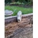 Norse moose antler Wolf pendant with Tiwaz rune