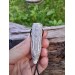 Norse moose antler Wolf pendant with Tiwaz rune