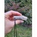 Norse moose antler Wolf pendant with Tiwaz rune