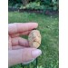 Odin amulet carved from moose antler – Ansuz rune