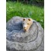 Hand-carved Viking bear amulet with Algiz rune