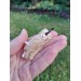 Hand-carved Viking bear amulet with Algiz rune