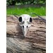 Hand-carved moose antler Viking raven skull amulet