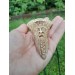 Unique Allfather God Odin pendant . Moose antlers hand-carved 