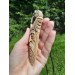 Unique Allfather God Odin pendant . Moose antlers hand-carved 