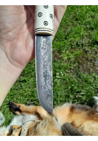 Handmade Vikings knife "Fenrir" with leather sheath. Antler hand-carved handle. Wolf head knife. Hand-forged Damascus steel blade.