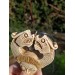 Unique Allfather God Odin pendant . Moose antlers hand-carved 
