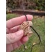 Viking style Dragon protection pendant. Moose antlers hand-carved
