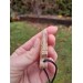 Viking style Dragon protection pendant. Moose antlers hand-carved
