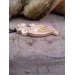 Vendel Raven amulet. 