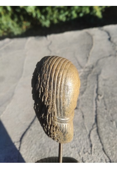 Hand-carved Viking Head. Replica From Cart found in Oseberg Viking Ship Burial