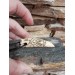 Hand-carved Dragon amulet -RS Artcraft