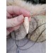 Small hand-carved amulet with Dragon head and Algiz rune. Viking necklace. Norse, Nordic totem jewelry. Pagan. Celtic. Oseberg art. Drakkar