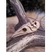 Unique Witch amulet. Raven skull with carved human skull. Gothic necklace. Wicca pendant. Shaman’s, shamanic necklace. Antler hand-carved