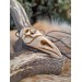 Unique Witch amulet. Raven skull with carved human skull. Gothic necklace. Wicca pendant. Shaman’s, shamanic necklace. Antler hand-carved