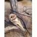 Unique Witch amulet. Raven skull with carved human skull. Gothic necklace. Wicca pendant. Shaman’s, shamanic necklace. Antler hand-carved