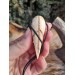 Unique Witch amulet. Raven skull with carved human skull. Gothic necklace. Wicca pendant. Shaman’s, shamanic necklace. Antler hand-carved