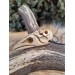 Unique Witch amulet. Raven skull with carved human skull. Gothic necklace. Wicca pendant. Shaman’s, shamanic necklace. Antler hand-carved
