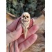 Unique Witch amulet. Raven skull with carved human skull. Gothic necklace. Wicca pendant. Shaman’s, shamanic necklace. Antler hand-carved