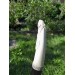 Viking drinking horn with Raven of Odin design and Viking alphabet