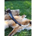 Viking drinking horn with Raven of Odin design and Viking alphabet