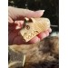 Antler hand-carved Viking Bear runic amulet, Berserker warrior spirit. Norse mythology art. Nordic, Pagan jewelry, Viking totemic talisman